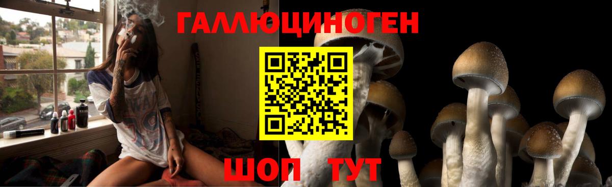 Псилоцибиновые грибы GOLDEN TEACHER  где продают наркотики  Вход с VPN  Тулун  Псилоцибиновые грибы мицелий 